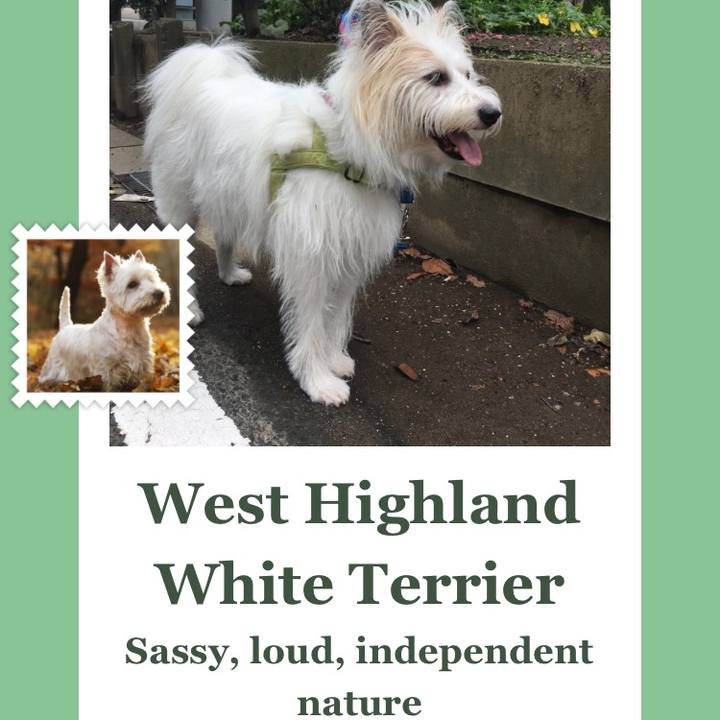 41a051f7 9e3b 4325 b0c3 e0453620c6ec