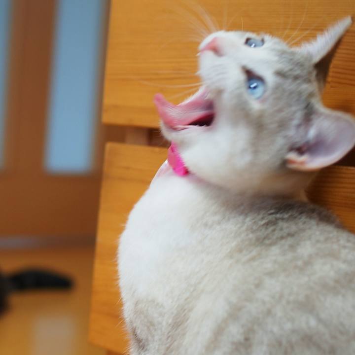 41a057ab c803 4a19 94d1 8ecdab992f6a