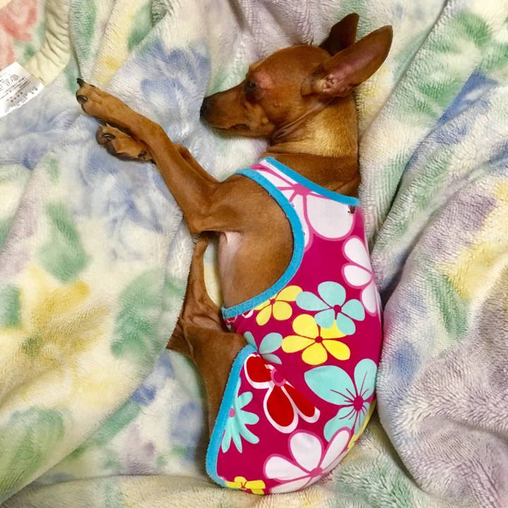 41a0ff46 9fb2 4de2 9f4d 8a322cf19d18