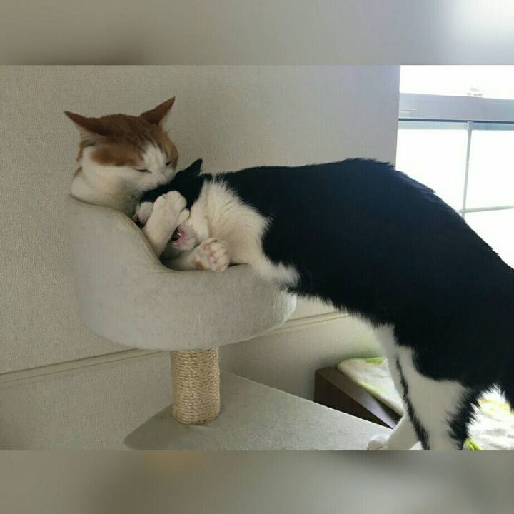 41a19f17 61e9 4884 aa77 8a54854f4591