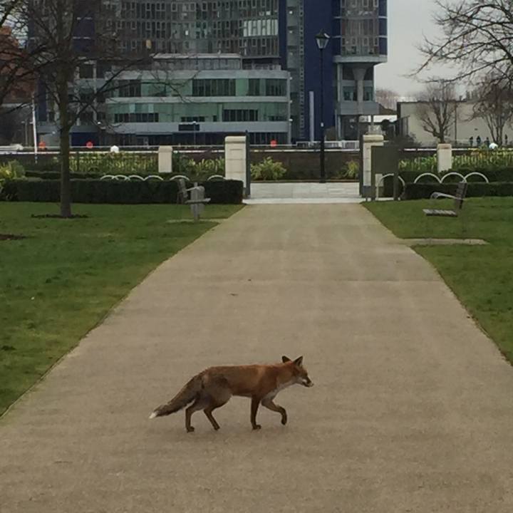 41a26ad6 8340 4f5d a2ae 985606b919d9