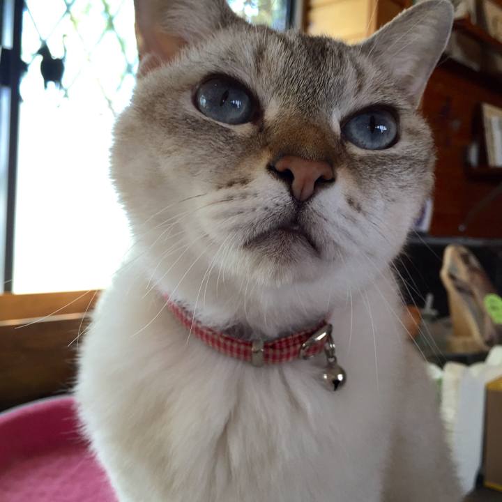 41a401d9 2ff1 43b0 b722 2d3b6585d5a5