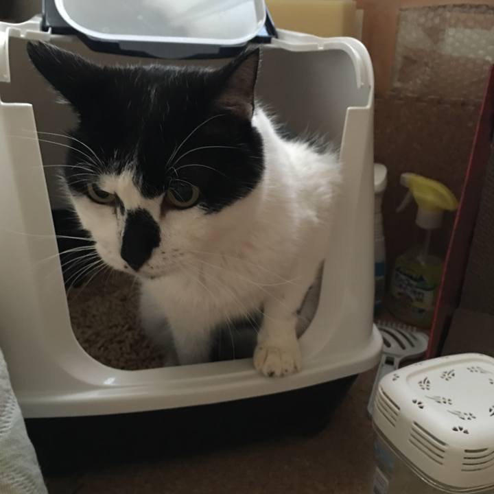 41a49a75 ff2b 4014 b8db 95c59404ed22