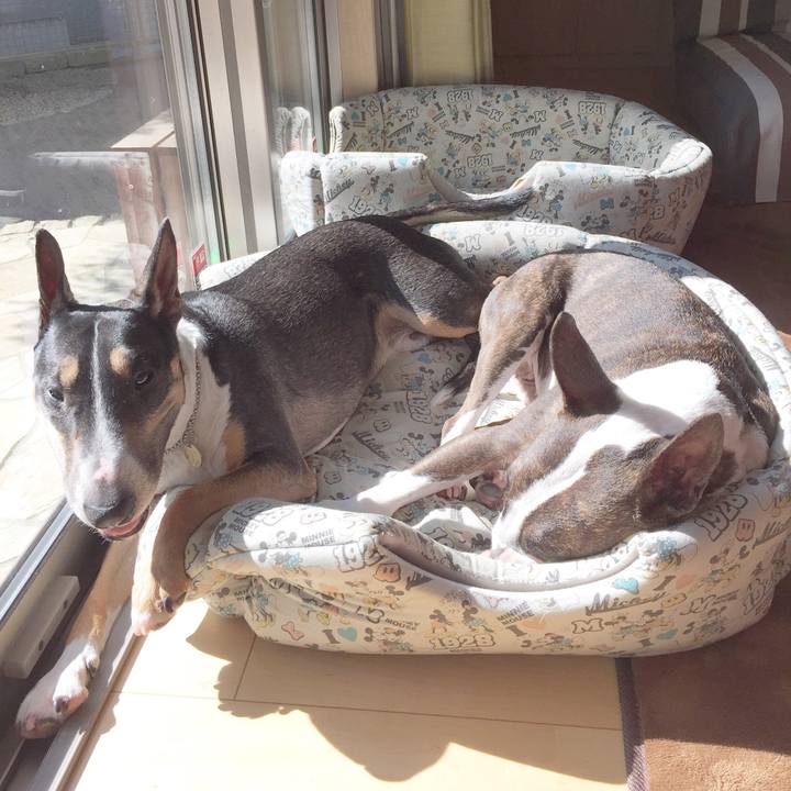 41a4a2d7 f185 4bfc 9048 e919bb508534