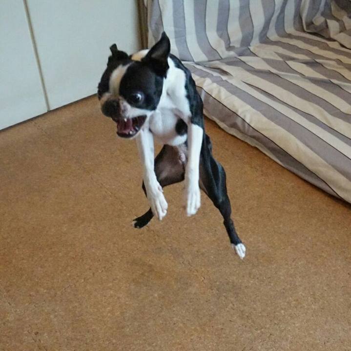 41a4b482 9551 4f00 bfc4 3e2fa8215f50