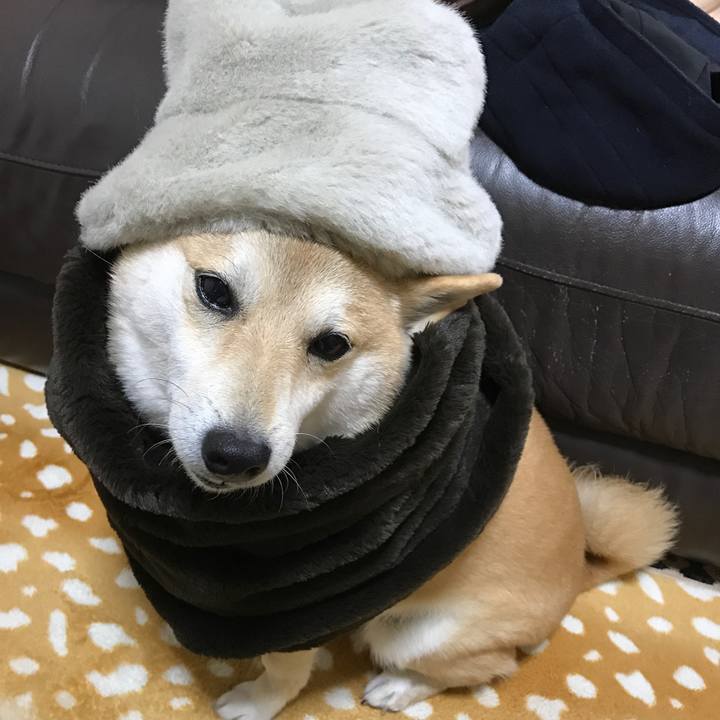 41a4d18a bb42 4fbe b18c ad4da5b1c346