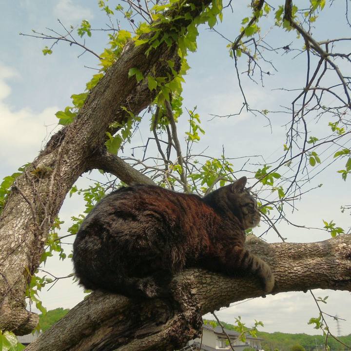 41a4d19c 3372 4997 87c1 6c5c47d931bf