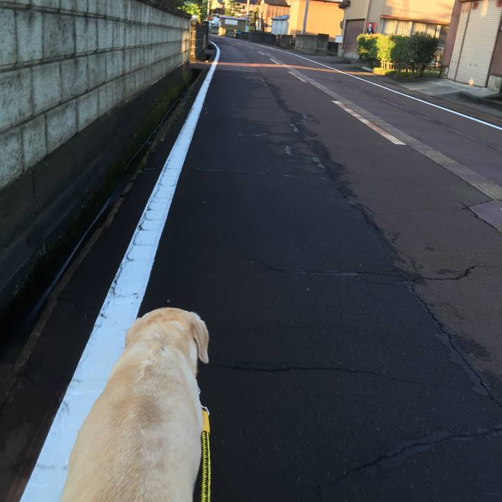 41a5e406 4c5c 458d 98ab 7b2a9c325c49