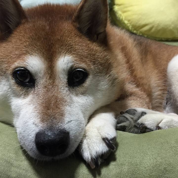 41a5e5c6 02db 41a1 b8f1 127cfcd47fc7