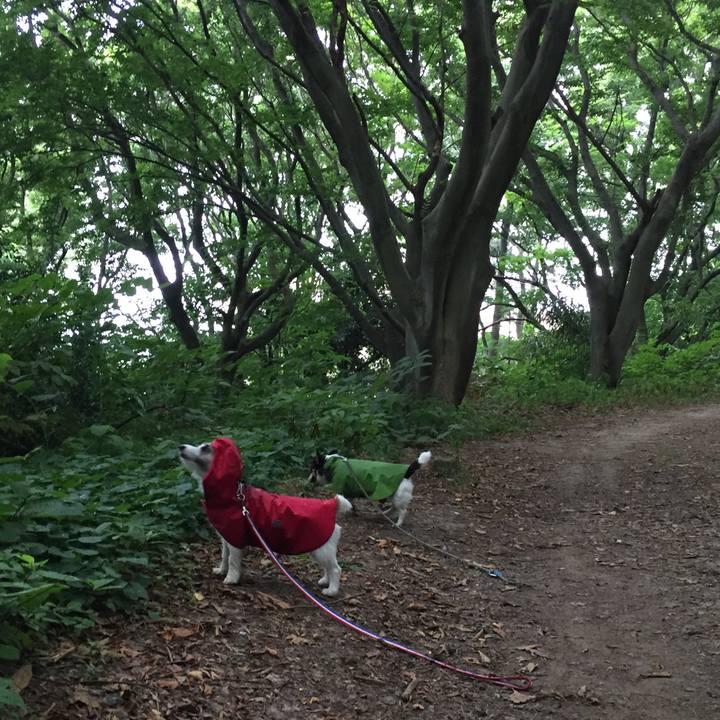 41a6270d 5786 46c6 be87 ab20fb7507da