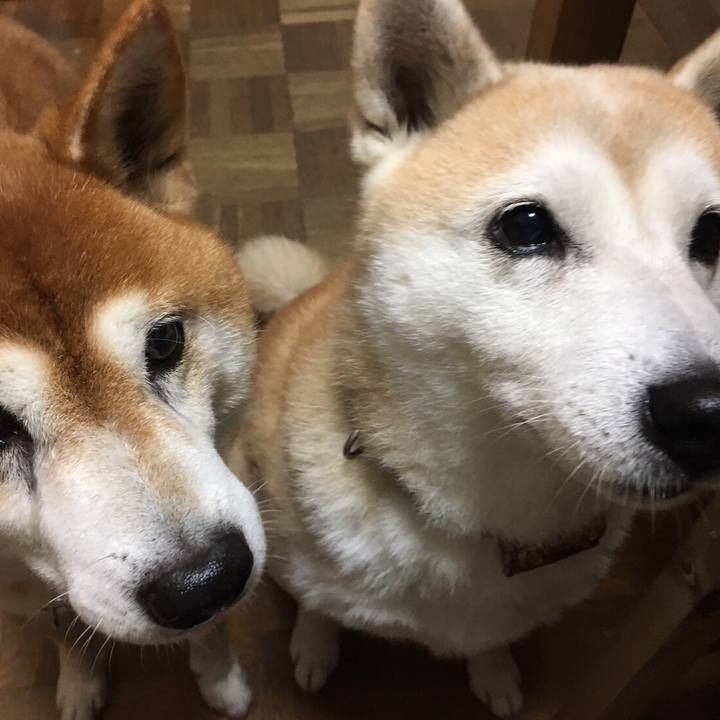 41a6b797 315e 49cc a6be a5ddb723e8ff