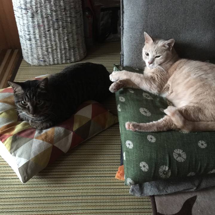 41a6f91f 7e62 4aad 8bb8 070032b812a8