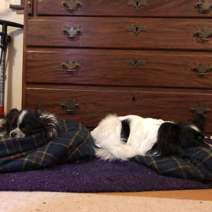 41a74561 f44a 42a5 bcd0 b530c8c030f5