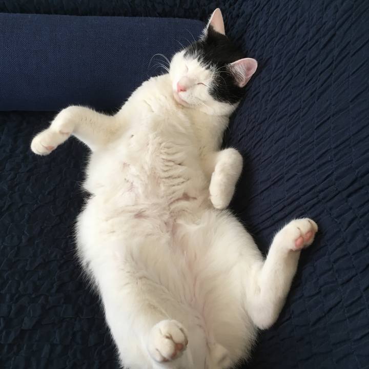 41a7b108 d051 46a9 816a e4550798a72c