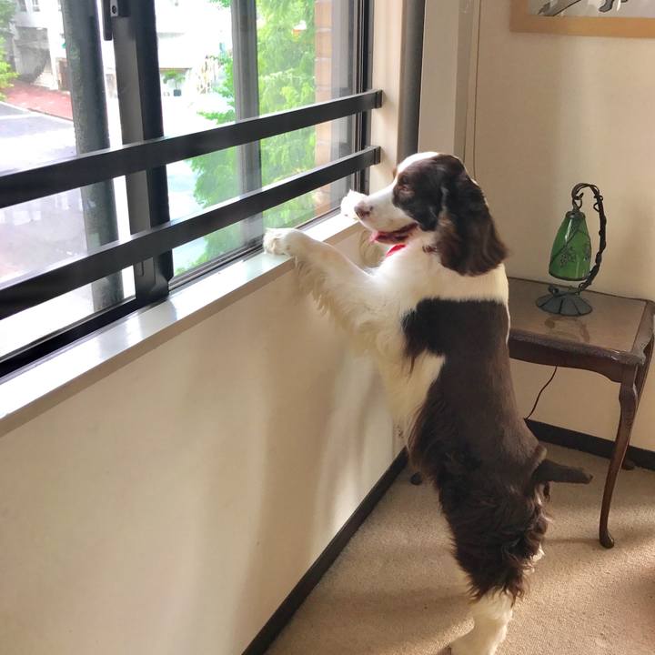 41a81b02 f06d 4e2e 92a7 2e792aec2e58