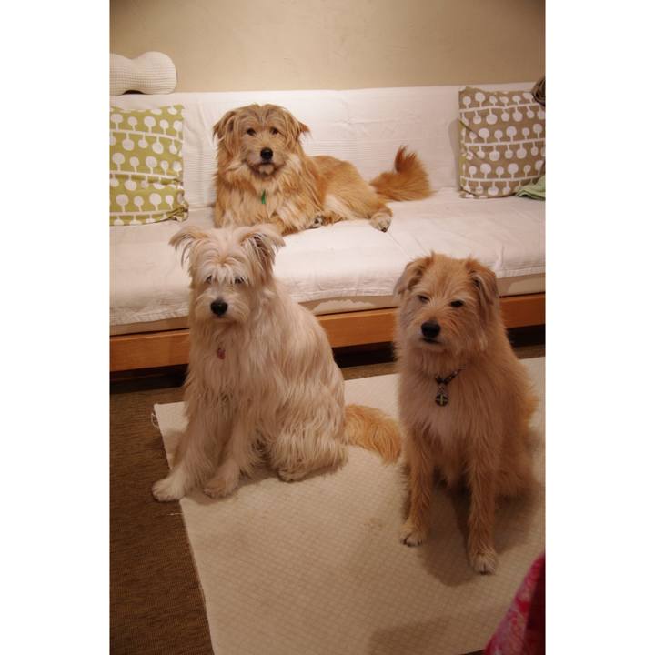 41a83ae0 a582 4133 a7fe 0736803a6954