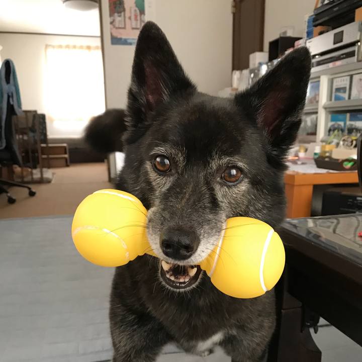 41a83c50 00a4 4ff1 a65f 20ecd07713aa