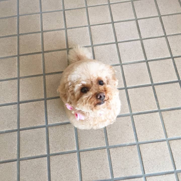 41a896af 45c3 4073 8866 15717e490eb0