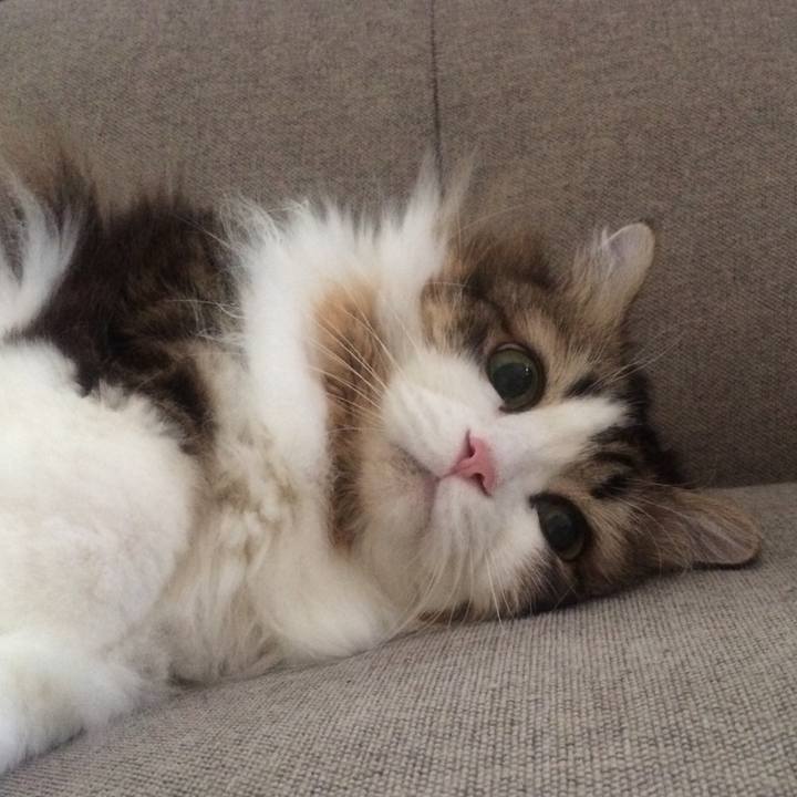 41a8c025 ea11 4e14 b854 4f6d1e011573