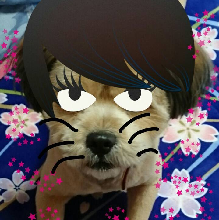 41a94add 81fd 4253 b1e4 9c604280dda0