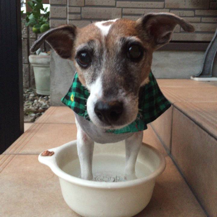 41a964b8 b8a5 4417 be27 695cabbfc4ad