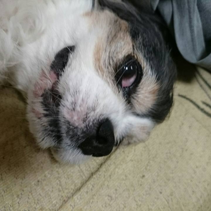 41aa7f35 21dd 4b32 9259 1977a5331b6f