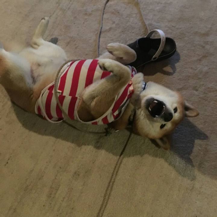 41aaf0f1 32ab 47ff 98d7 c99c1b33e38f