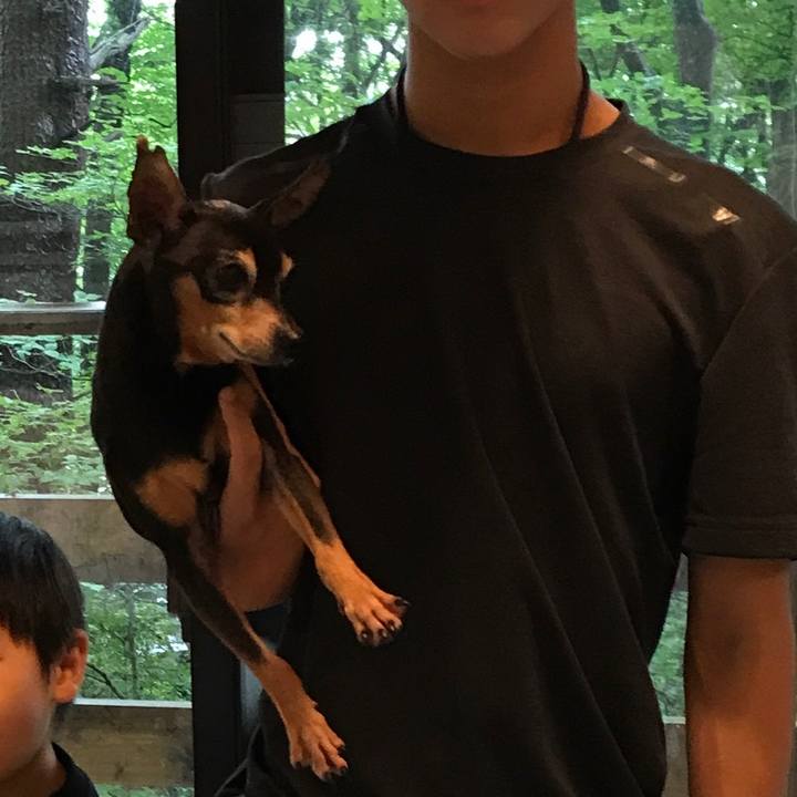 41ab9371 b399 4314 a7ce c7f9fe80c9e2