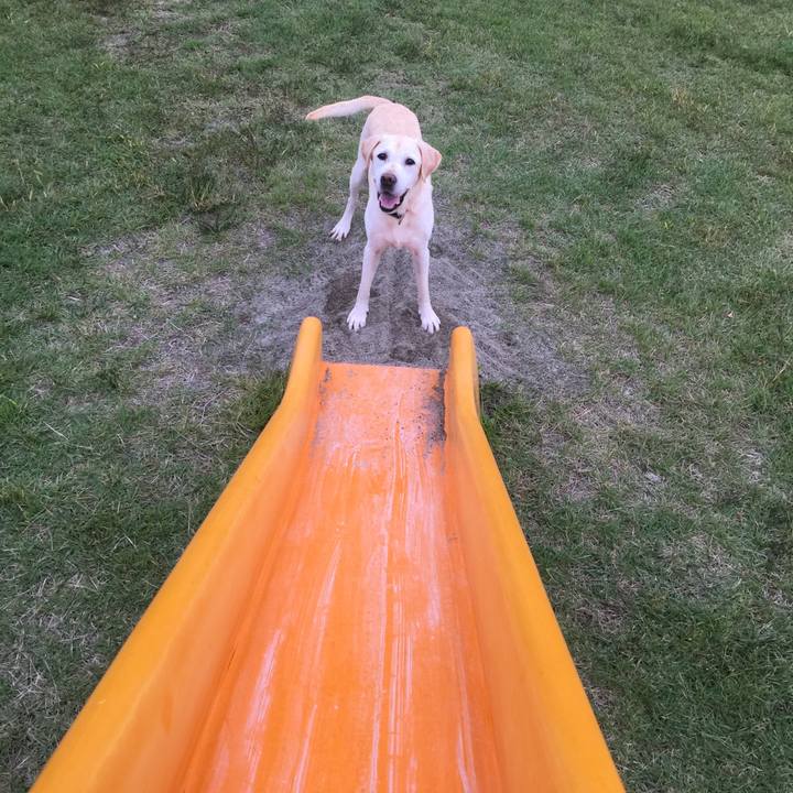 41ac1483 ccda 459d 9b62 2a2b57c58639