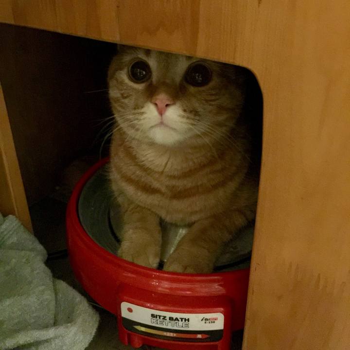 41ac2402 0506 4355 b760 6690db15d97e