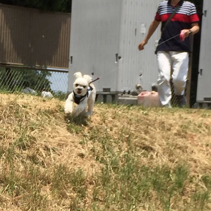 41acda40 50b4 4677 ab34 b66f11bfca86