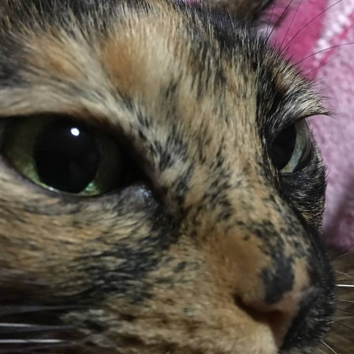 41ad2bfd 636c 4776 bd4e 182d9e979b66