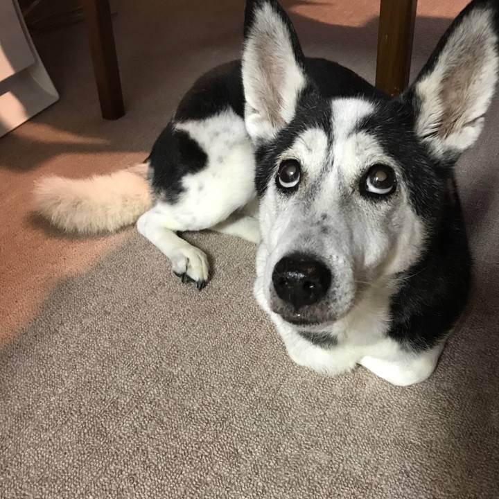 41ad5156 a202 4136 919f 8e1d3e679a6c