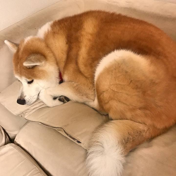 41ad5bb3 b29d 4688 9f86 fcf7a8b490eb