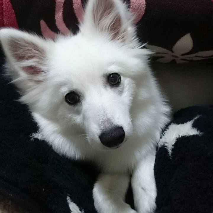 41ad8c3e 59d8 48d8 97e7 c7414b8123e1