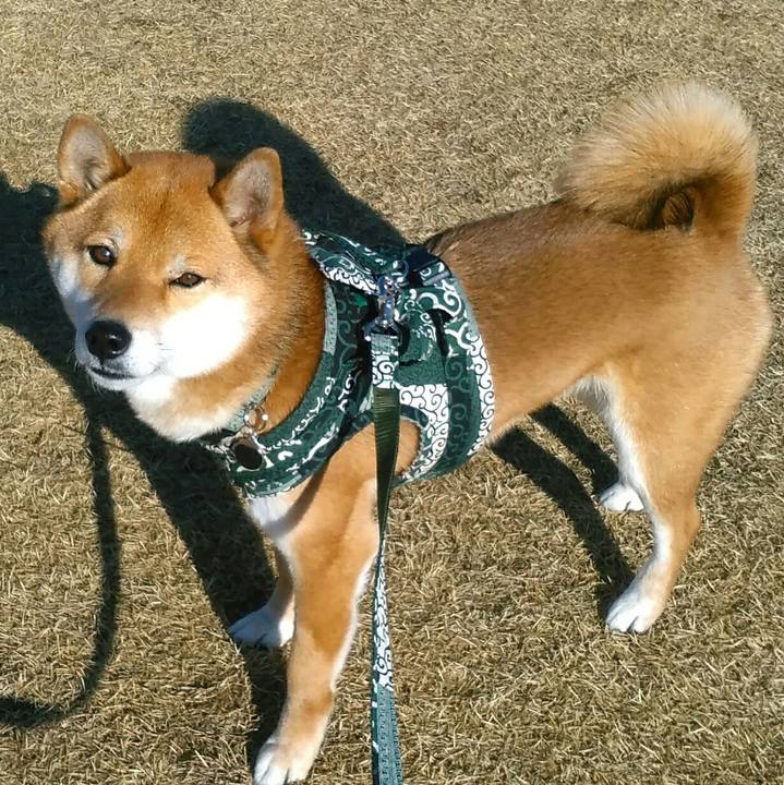 41ad92d3 28a5 447f bad3 34e7c099e09d