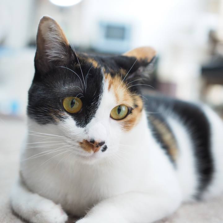 41adeafc 7571 4db7 8942 d939b7d2477d