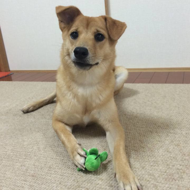 41ae0f98 aada 459f a647 1deaaa0301ef