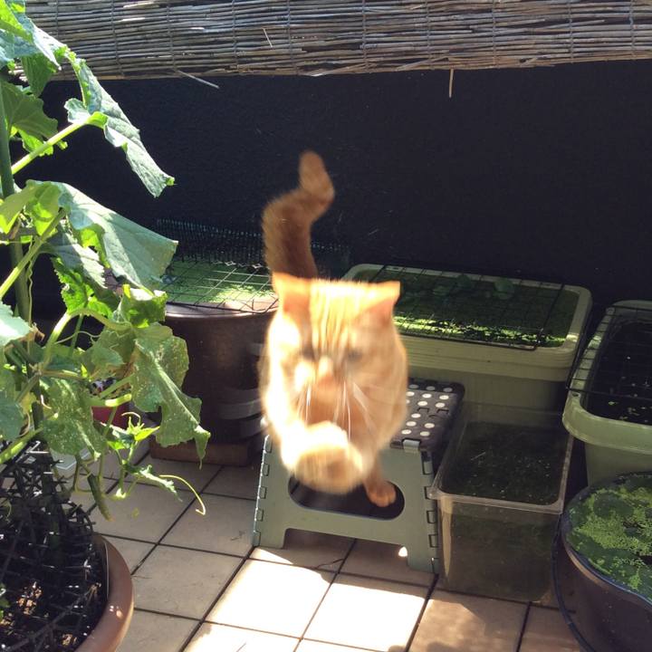 41ae9385 c435 4ad1 af50 8740a2dbaa6d