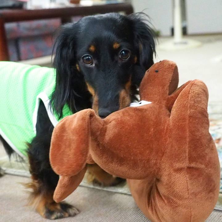 41afbcdf e67c 4916 b360 3e27efb1d390