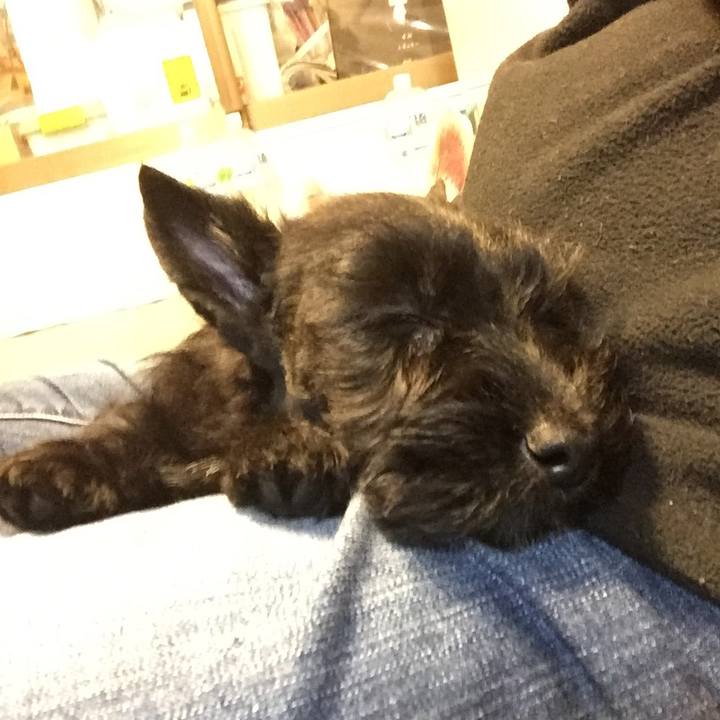 41b02581 6ede 4ee7 b16d d51f4a343944