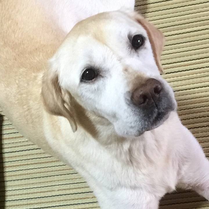 41b08869 da05 4cbb ada0 ba29f31d7a31