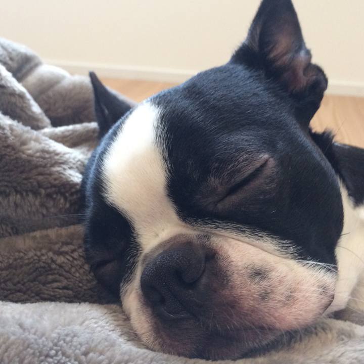 41b2482d 867b 4f40 8627 1555170fff66