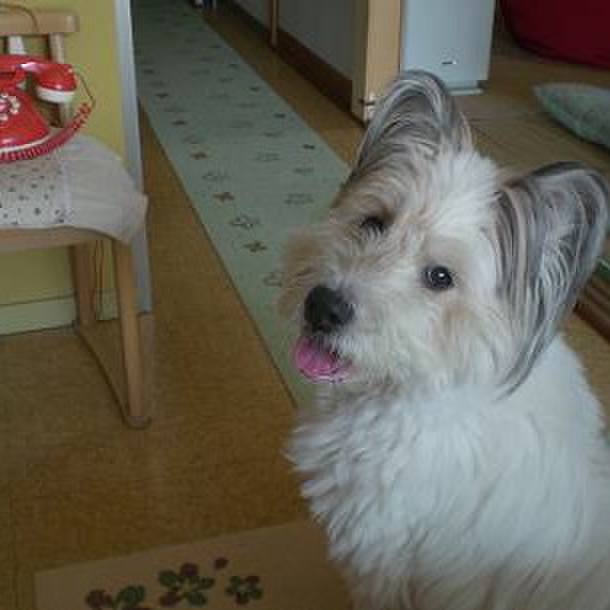 41b2781e fa77 4ff5 94eb f6fa15ebacd2