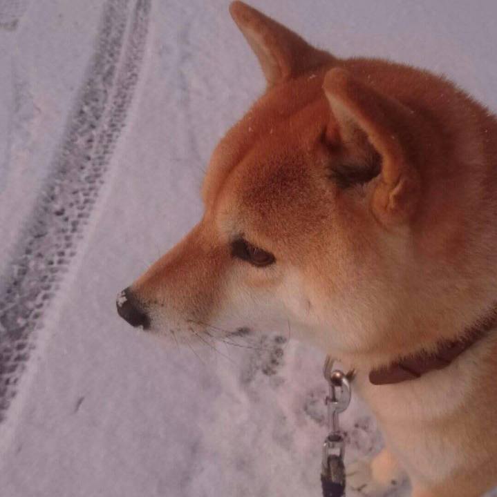 41b34c30 52a5 492d b2de 0181dfde192d