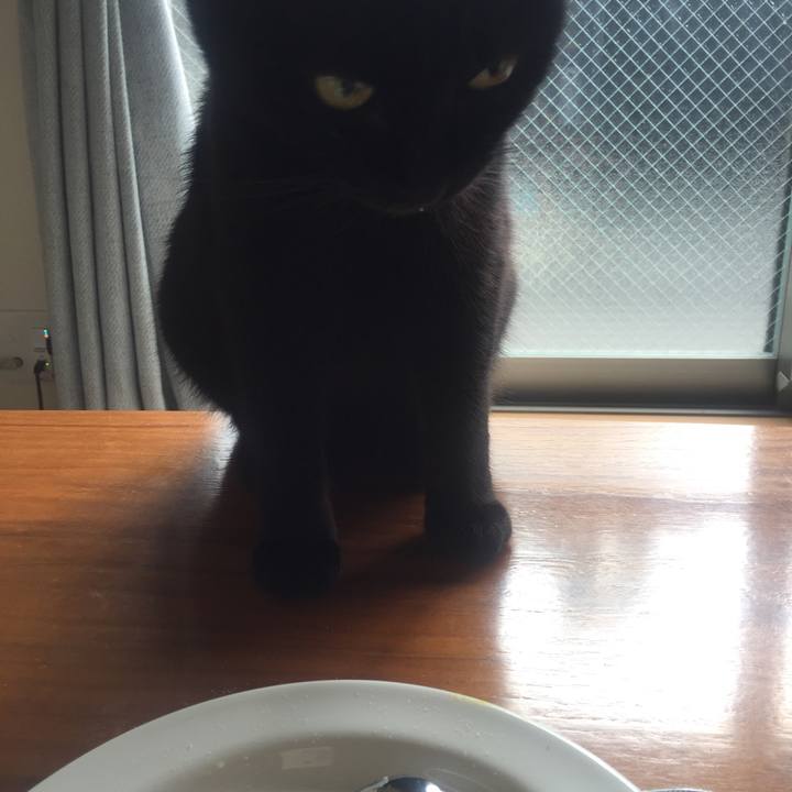 41b40d32 a302 48d6 8d87 94d2d0e01bdc