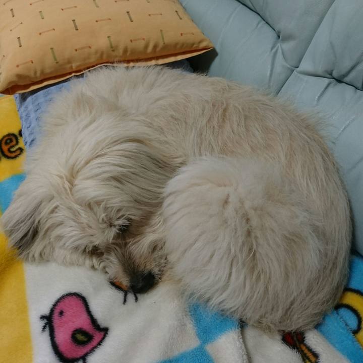 41b48870 48ea 40a1 9d3c 0536d6a3de45