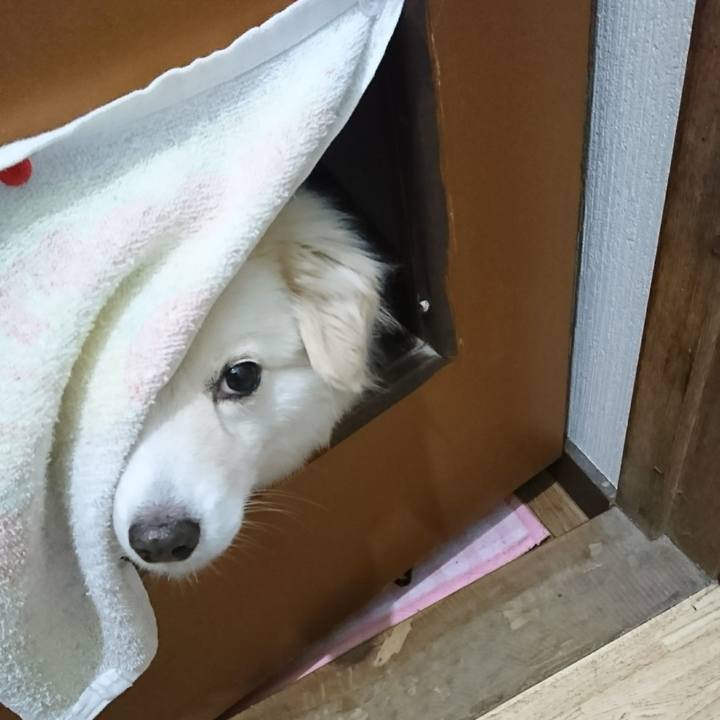 41b4b087 7e8d 41bb 8bc2 42d21bfb7f94