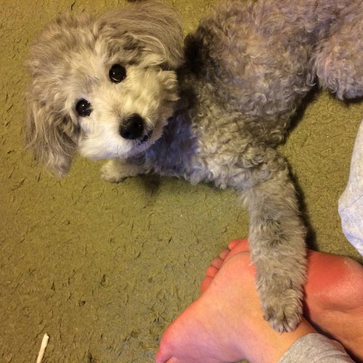 41b4ee4f ad86 426e b207 057a53e79353