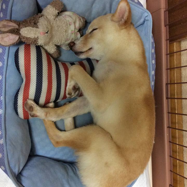 41b50a82 26f1 49dd 9a9c 2b7c6cb0543d